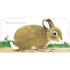 RICHARD SCARRYS BUNNIES BOARD BOOK