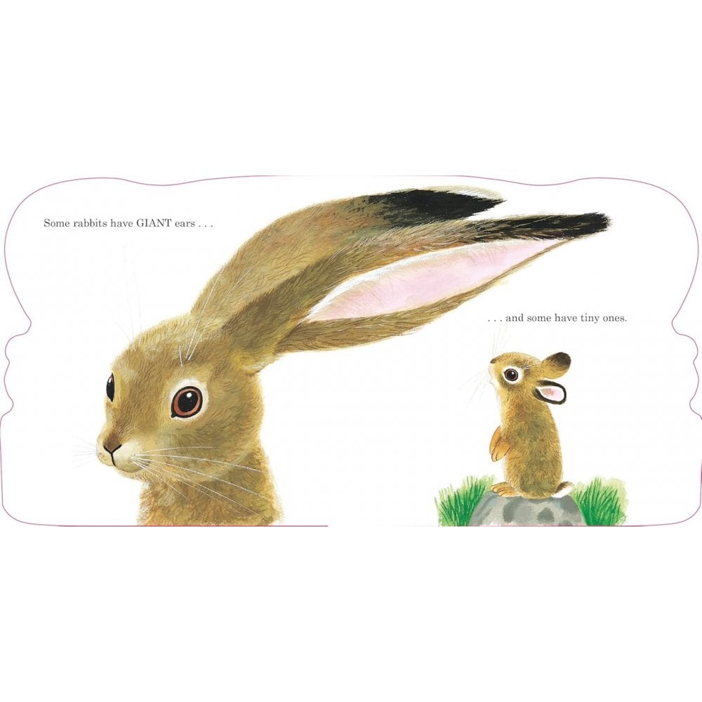 RICHARD SCARRYS BUNNIES BOARD BOOK