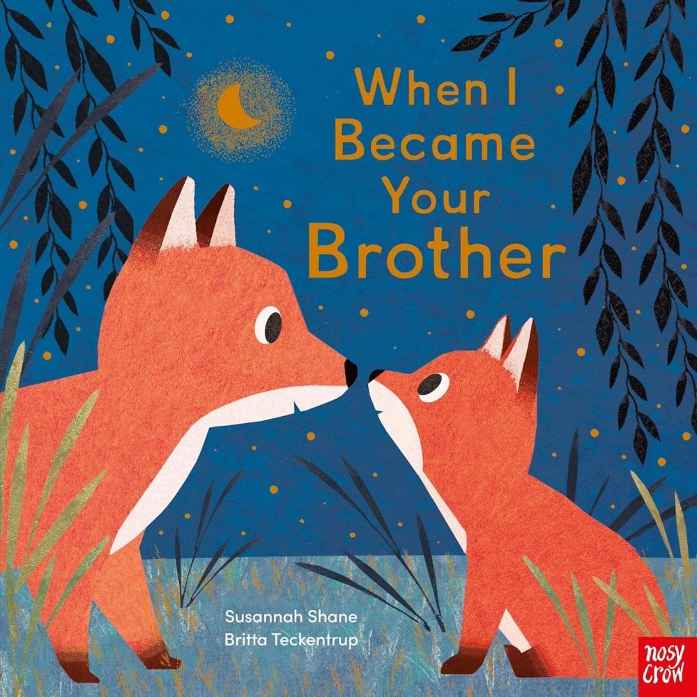 WHEN I BECAME YOUR BROTHER PAPERBACK BOOK