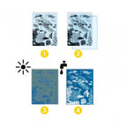 CYANOTYPE LIGHT SENSITIVE CRAFT SET - MARINE ANIMALS