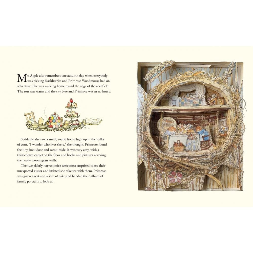 BRAMBLY HEDGE POP UP BOOK