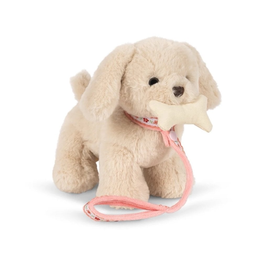 AIKO PUPPY