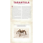 A PHOTICULAR BOOK - BUGS