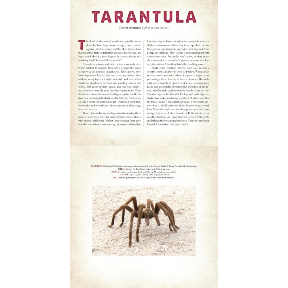 A PHOTICULAR BOOK - BUGS