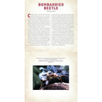 A PHOTICULAR BOOK - BUGS