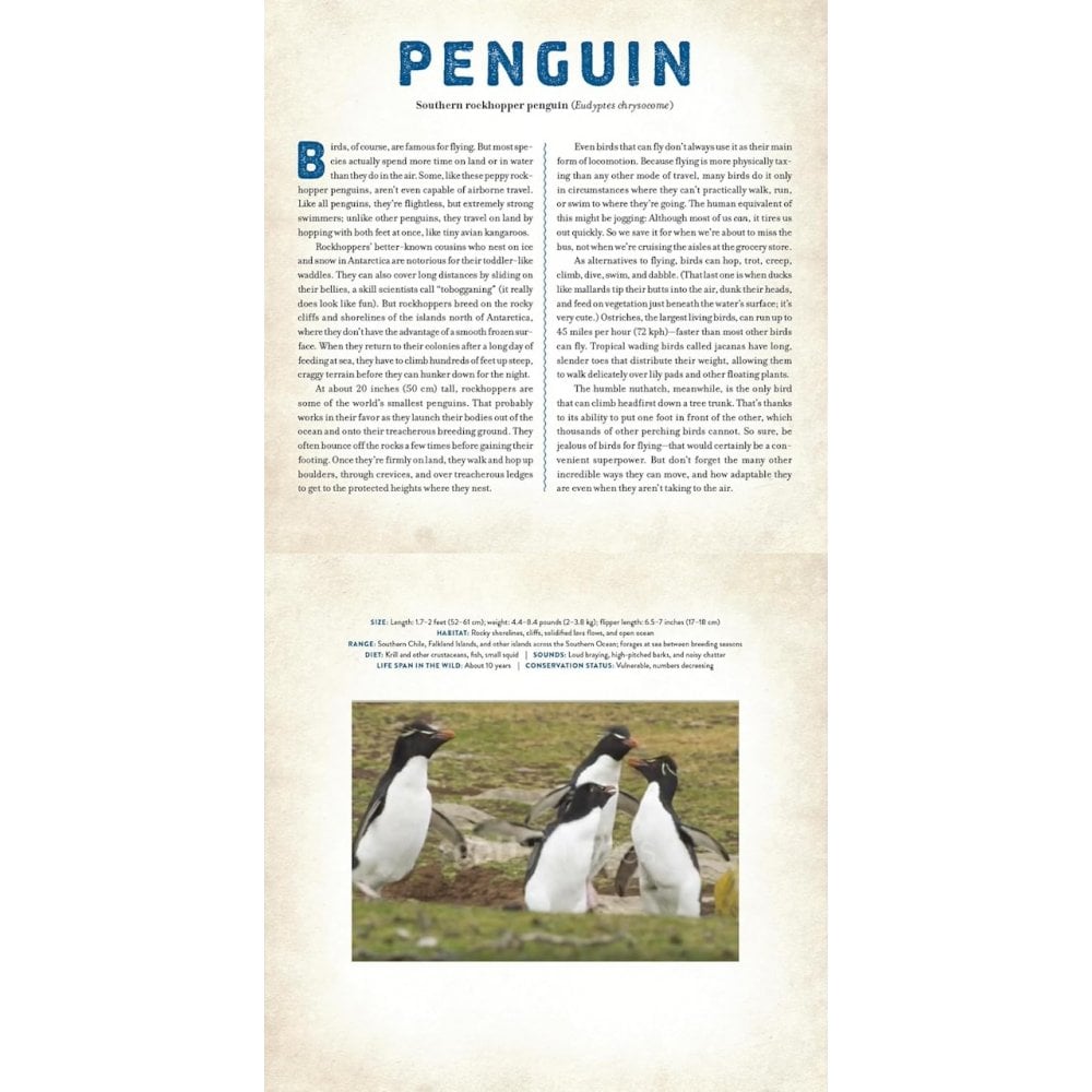 A PHOTICULAR BOOK - BIRDS
