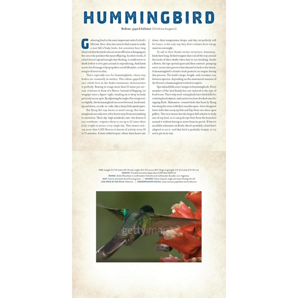 A PHOTICULAR BOOK - BIRDS