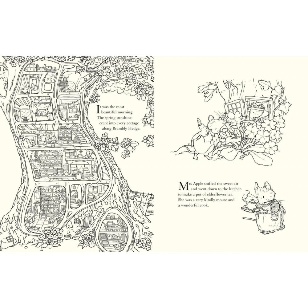 BRAMBLY HEDGE: NATURE COLOURING BOOK