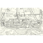 BRAMBLY HEDGE: NATURE COLOURING BOOK
