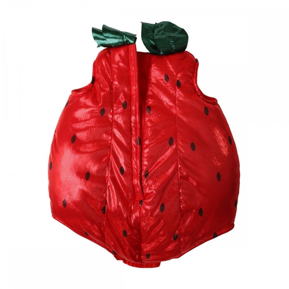 STRAWBERRY DRESS UP SET