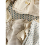 FIO STRIPE LONG SLEEVE BODY - TEA STRIPE