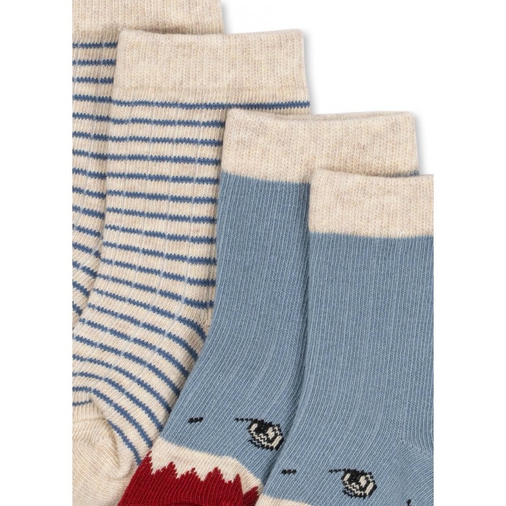 2 PACK SOCKS - SHARK