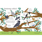 NATIONAL TRUST: REWILD THIS BOOK (5-7 YEARS)