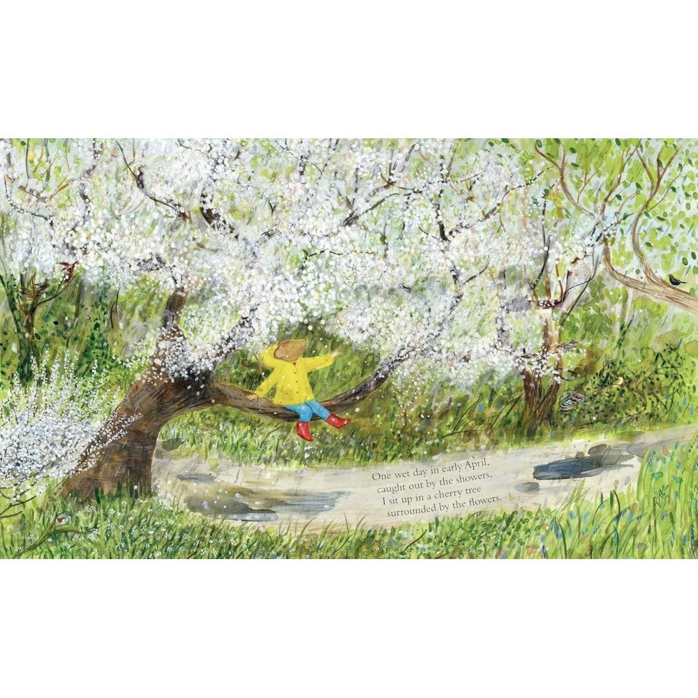MOUSE'S WOOD - BOARD BOOK (2-5 YEARS)