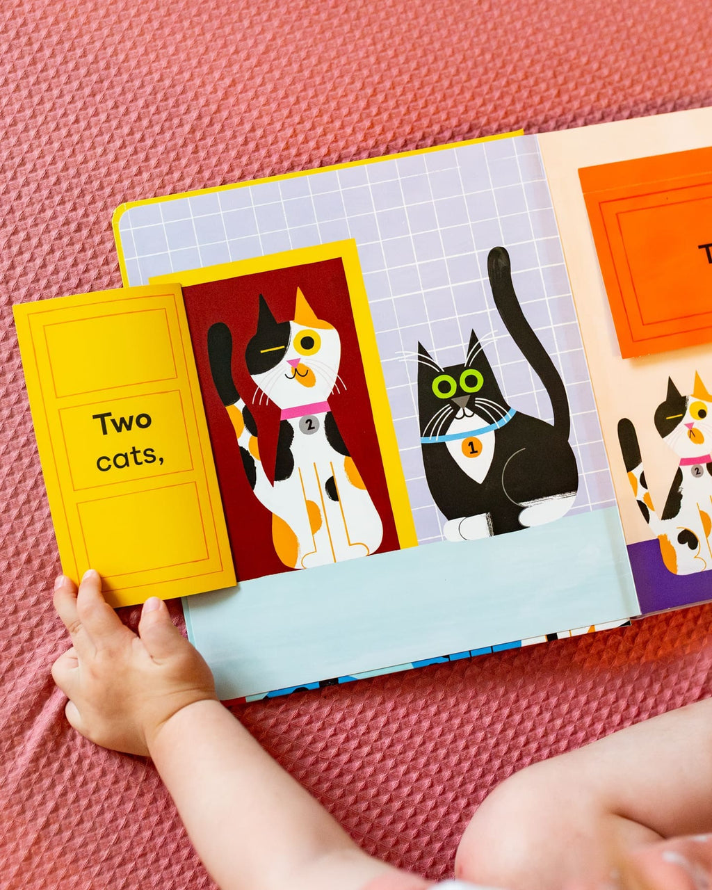 ONE CATS, TWO CATS BOOK (2-5 years)