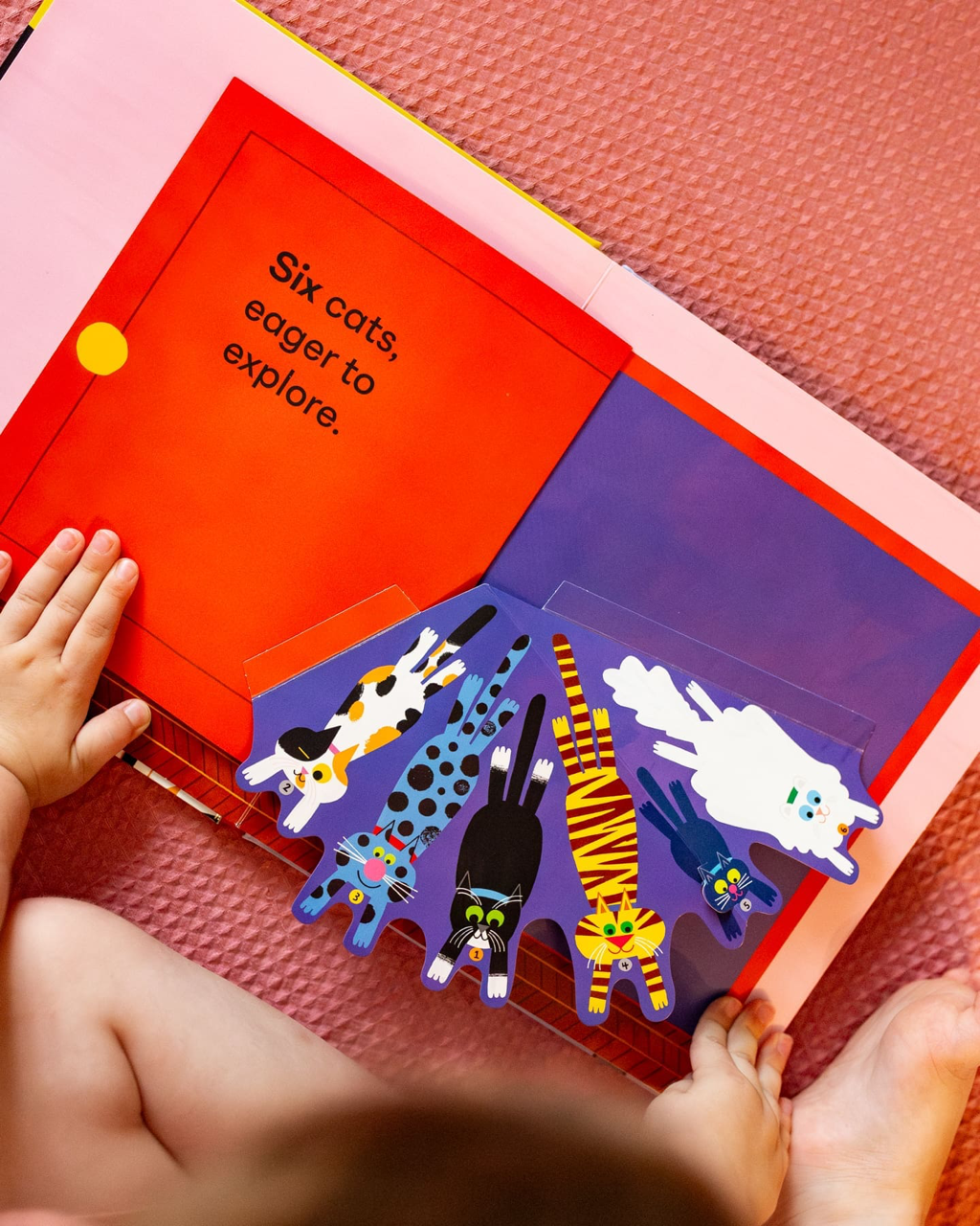 ONE CATS, TWO CATS BOOK (2-5 years)