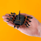 CREATE YOUR OWN WRIGGLY SPIDER (5 YEARS+)