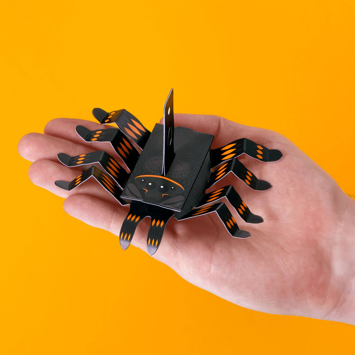CREATE YOUR OWN WRIGGLY SPIDER (5 YEARS+)