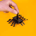 CREATE YOUR OWN WRIGGLY SPIDER (5 YEARS+)