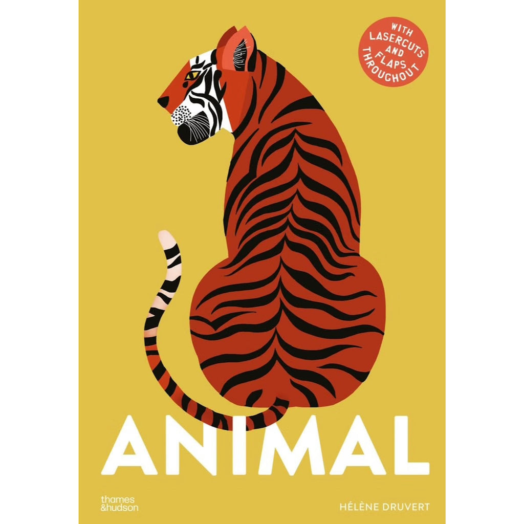 ANIMAL BOOK