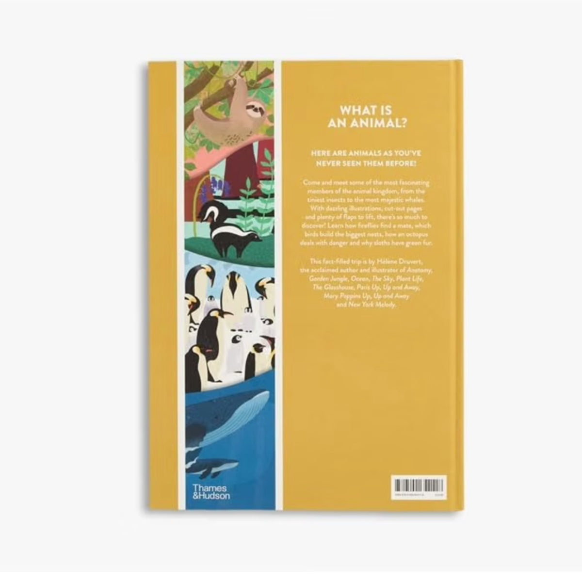ANIMAL BOOK
