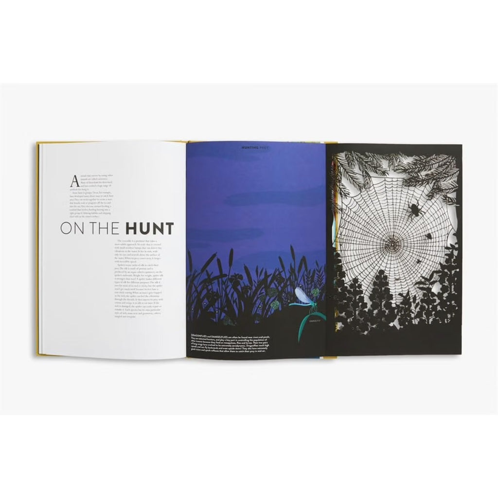 ANIMAL BOOK