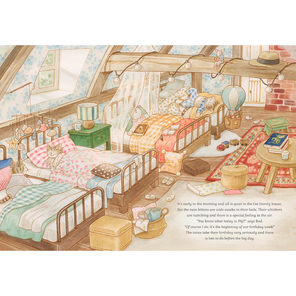 CAT FAMILY BIRTHDAY LIFT THE FLAPS BOOK (3-5 YEARS)