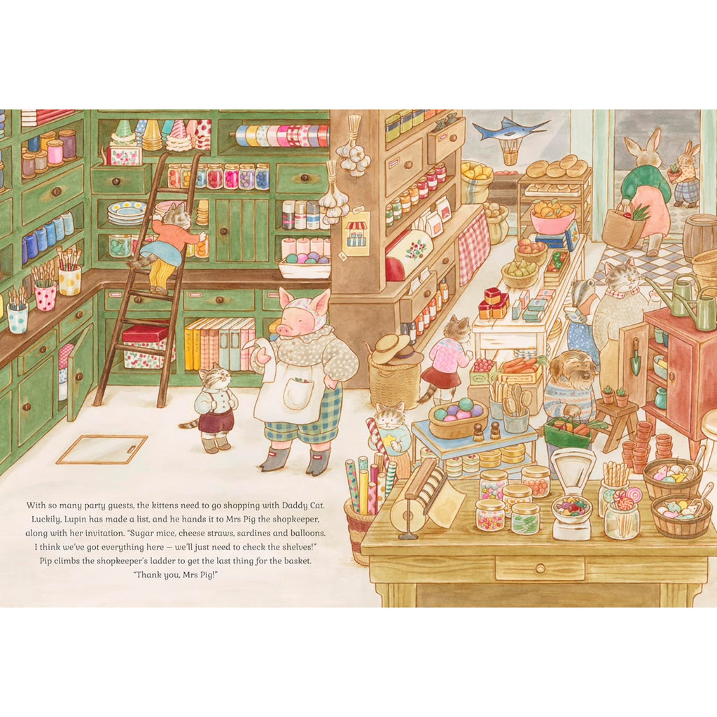CAT FAMILY BIRTHDAY LIFT THE FLAPS BOOK (3-5 YEARS)