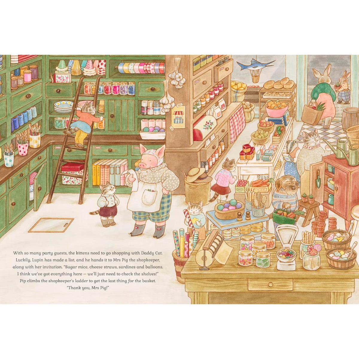 CAT FAMILY BIRTHDAY LIFT THE FLAPS BOOK (3-5 YEARS)