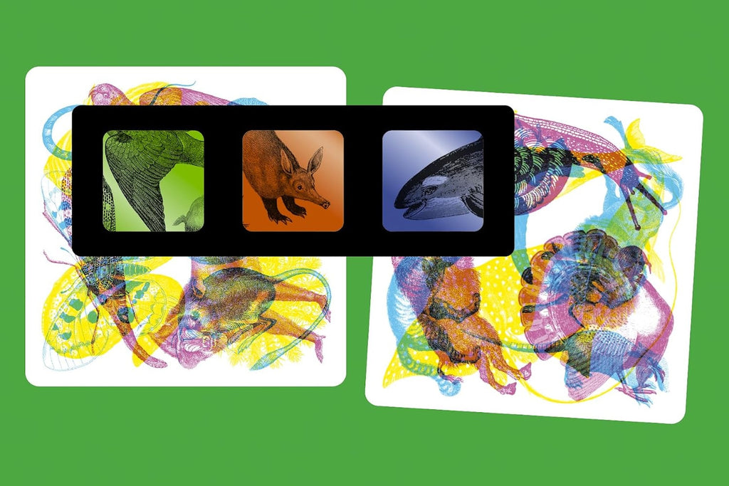ILLUMINATURE - A SPOTTING GAME (6 YEARS+)