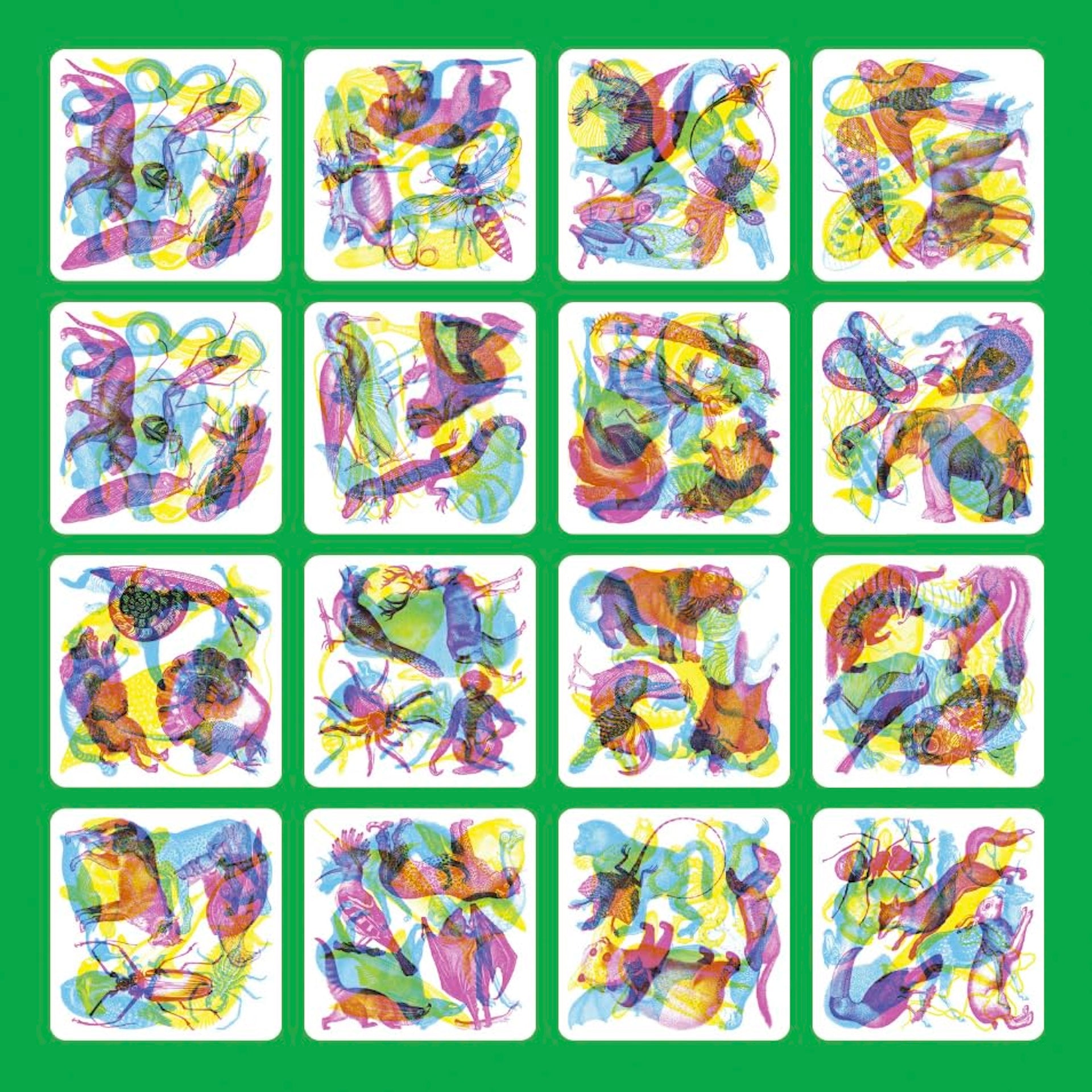 ILLUMINATURE - A SPOTTING GAME (6 YEARS+)