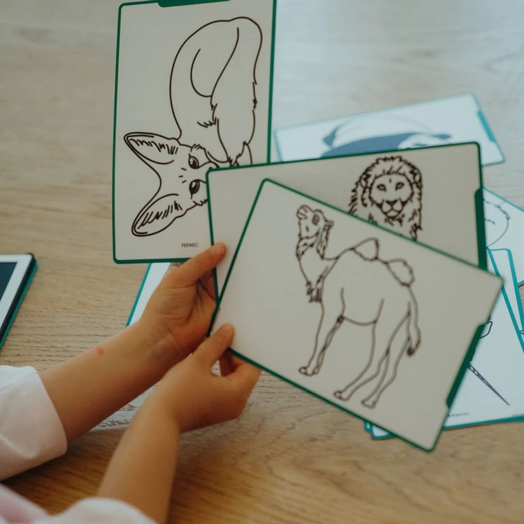 KIDYDRAW MINI LCD DRAWING TABLET