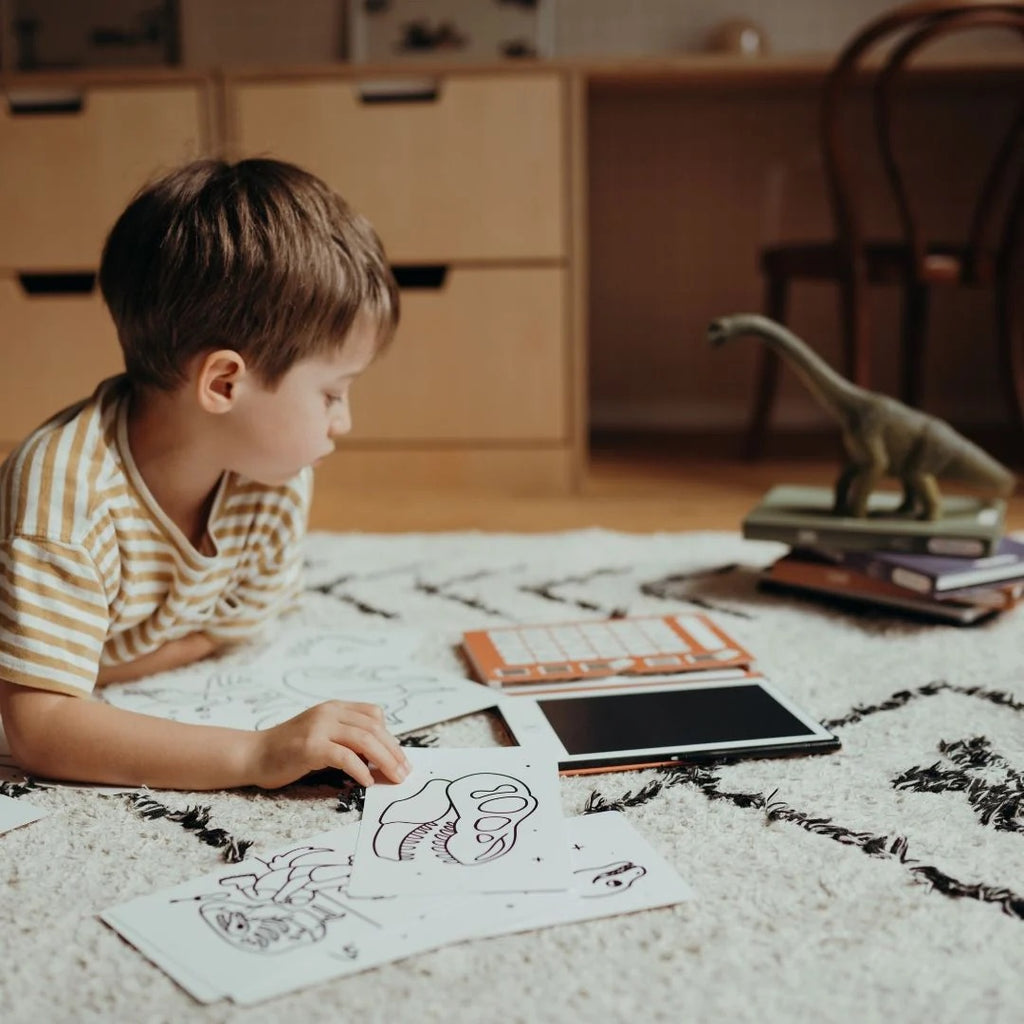 KIDYDRAW MINI LCD DRAWING TABLET