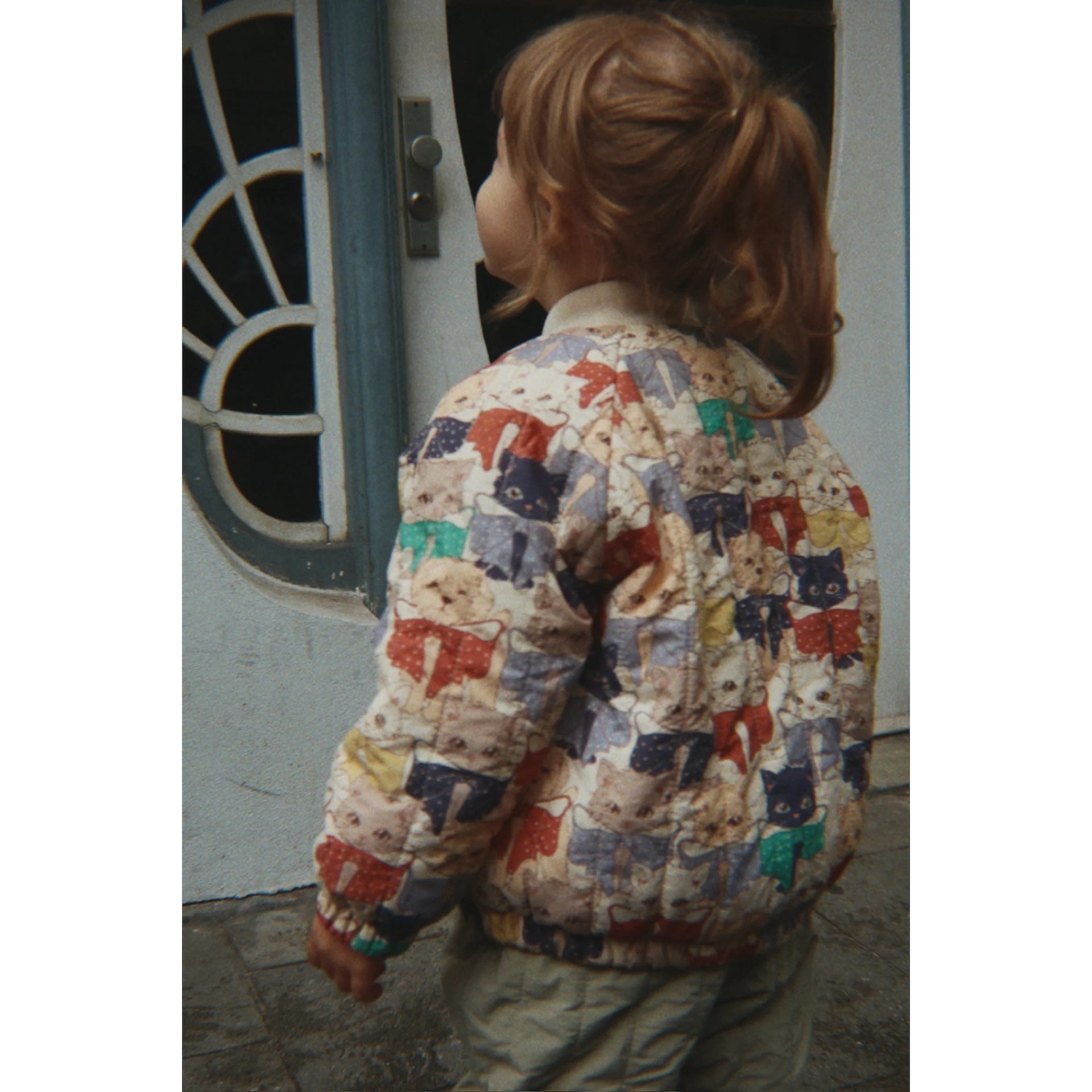 JUNO PRINTED BOMBER JACKET - LIKE CATS AND DOGS