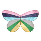 RAINBOW STRIPE WINGS