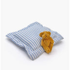 SLEEP ACCESSORY SET - BLUE / WHITE PILLOW