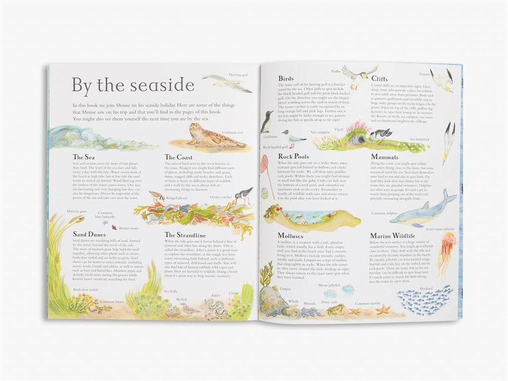 MOUSE BY THE SEA PAPERBACK BOOK