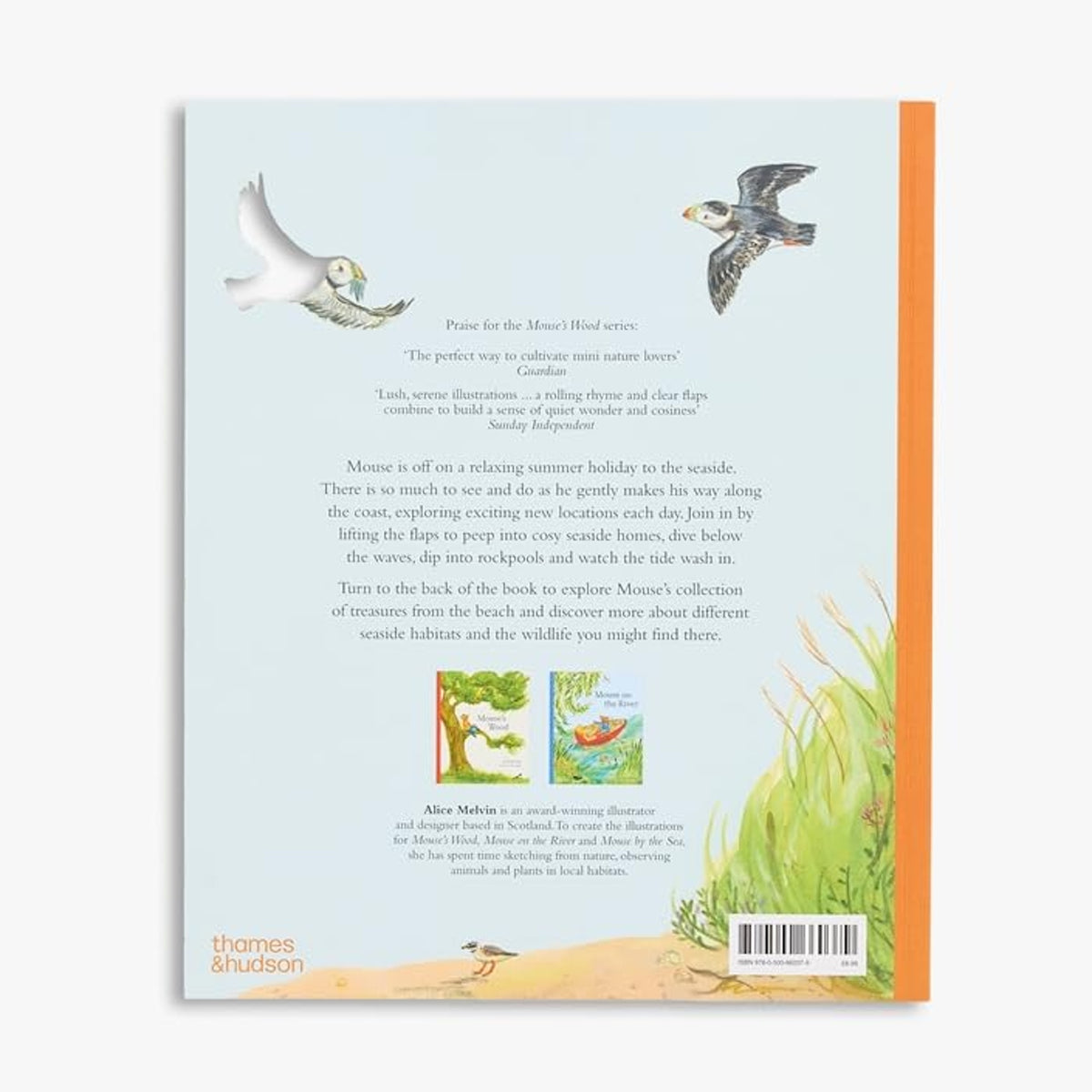MOUSE BY THE SEA PAPERBACK BOOK