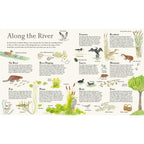MOUSE ON THE RIVER PAPERBACK BOOK