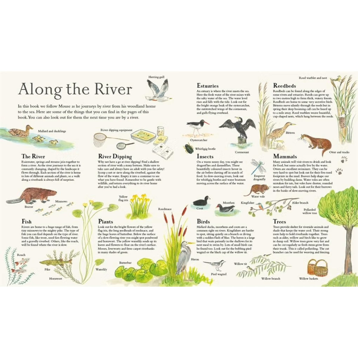 MOUSE ON THE RIVER PAPERBACK BOOK