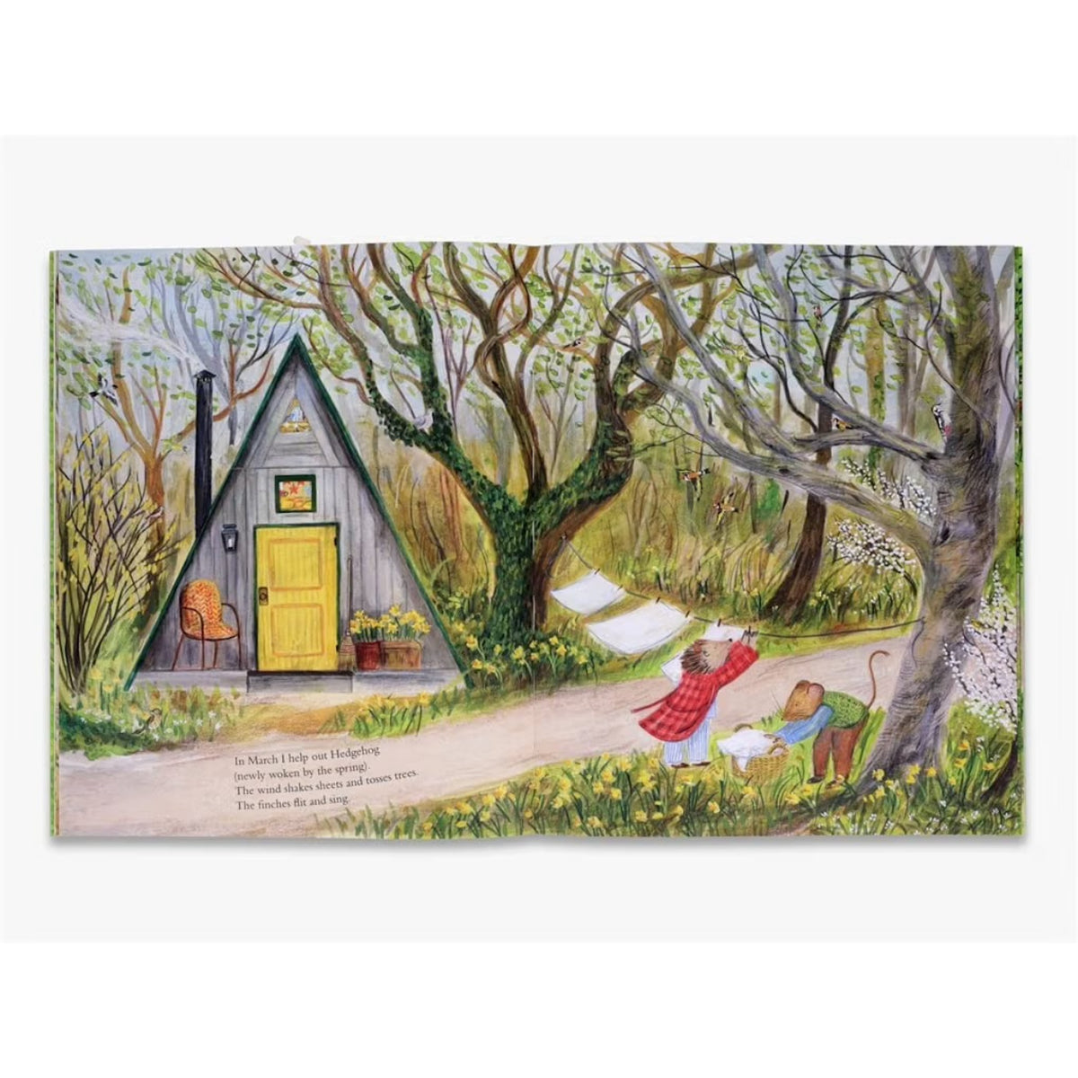 MOUSE'S WOOD PAPERBACK BOOK