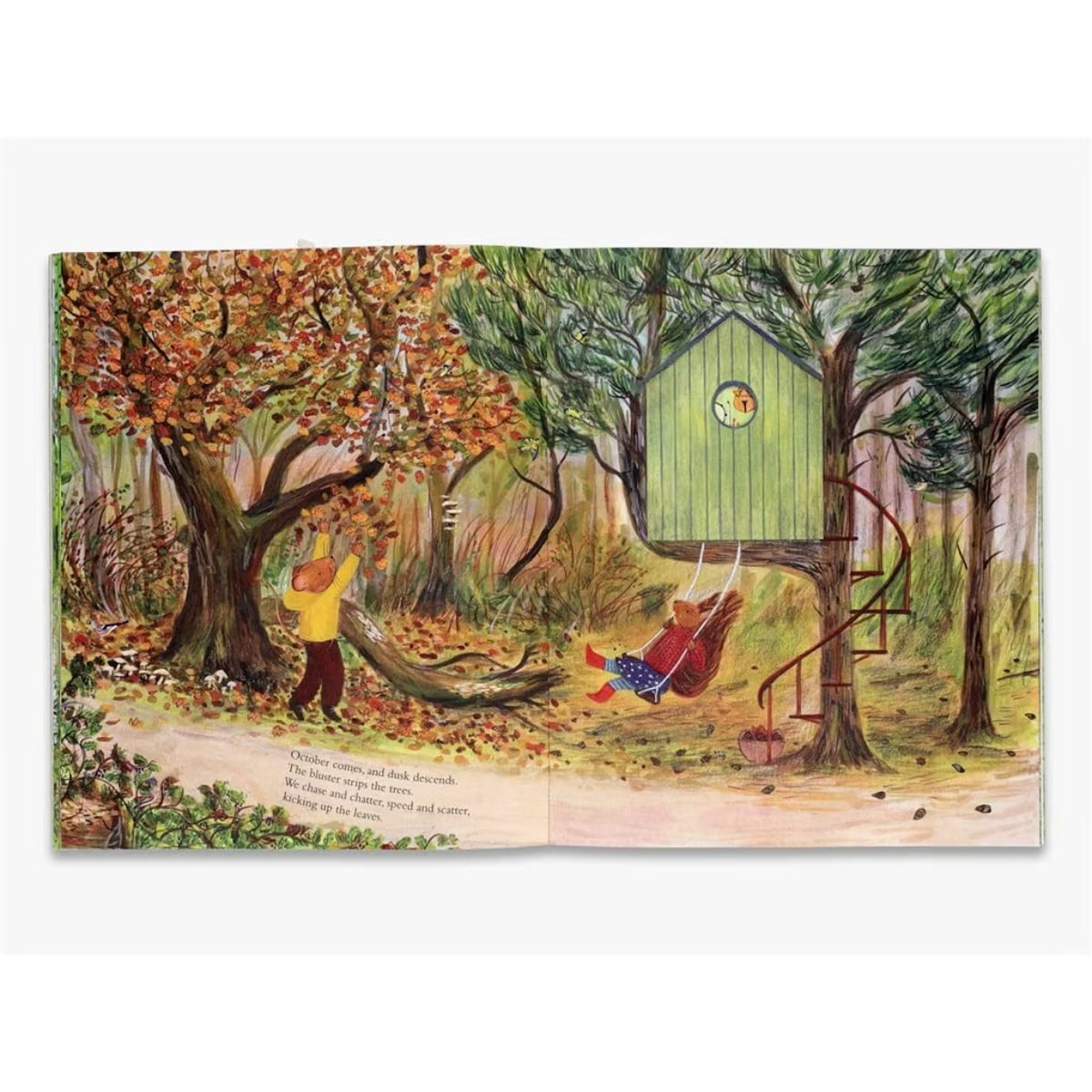 MOUSE'S WOOD PAPERBACK BOOK