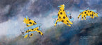 MS LEOPARDA (5-7 YEARS)
