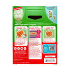 MINI DIY SHRINK-IT ART KIT - HOLLY JOLLY