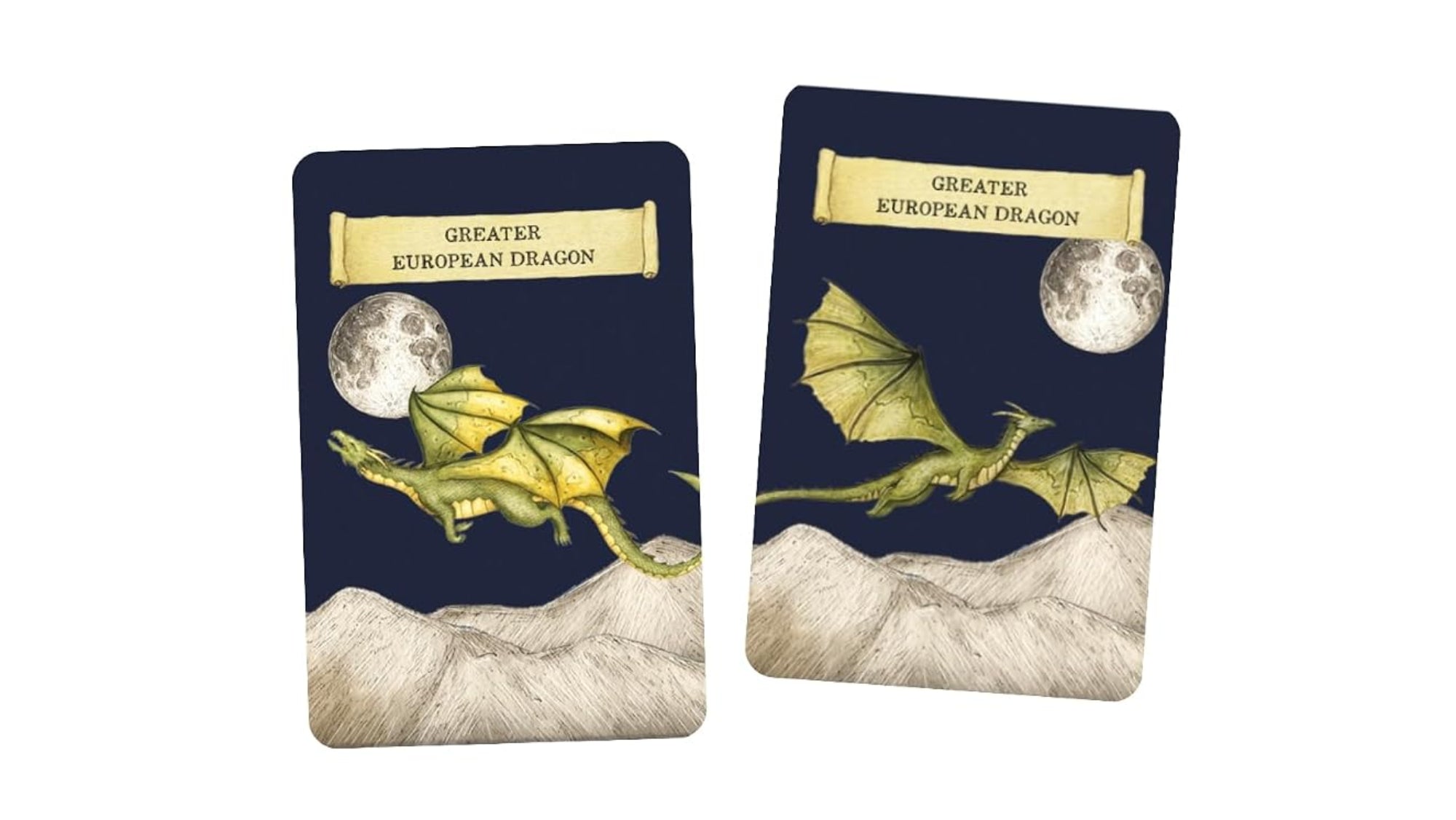 PLAYING CARDS - DISCOVER THE DRAGONS (4+ YEARS)