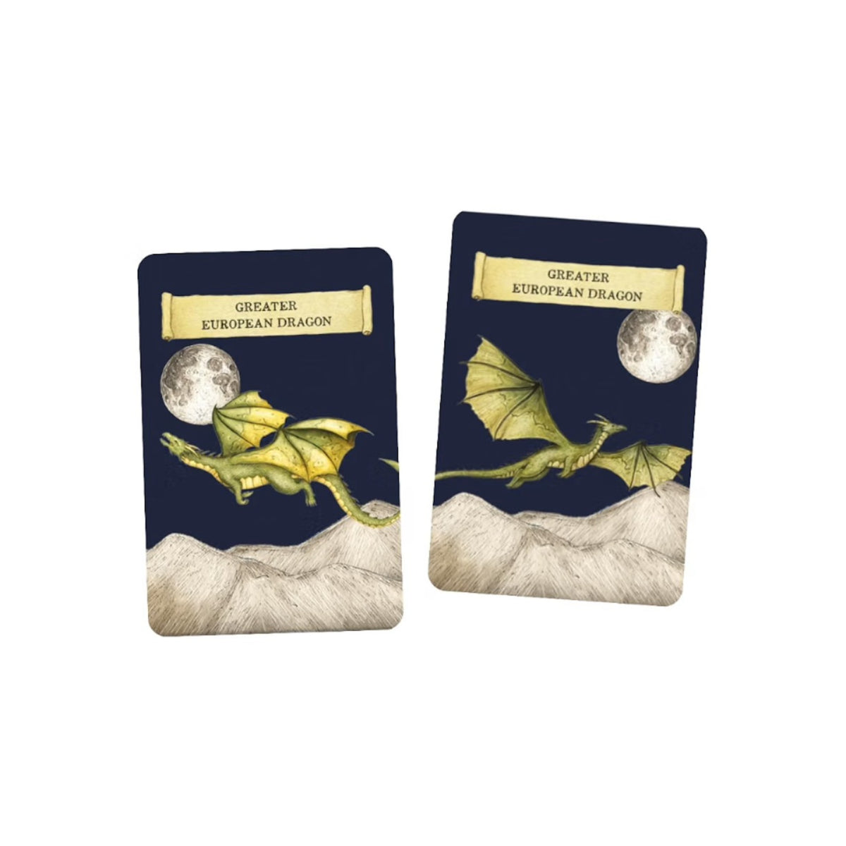 PLAYING CARDS - DISCOVER THE DRAGONS (4+ YEARS)