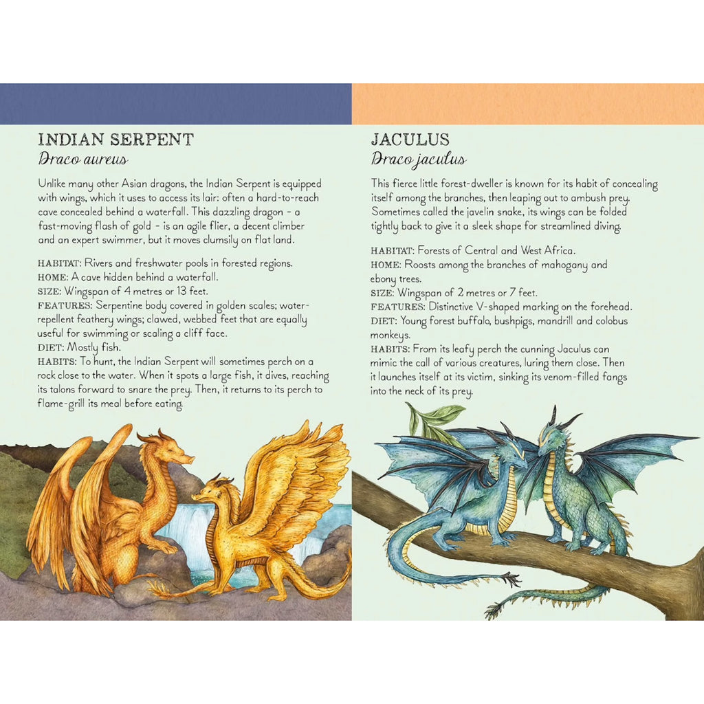PLAYING CARDS - DISCOVER THE DRAGONS (4+ YEARS)
