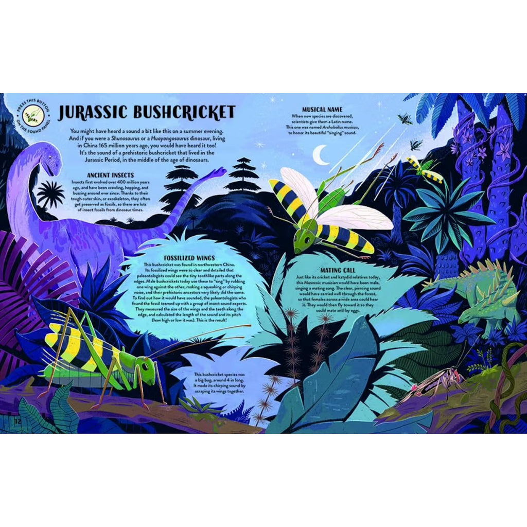 SOUND EXPLORERS BOOK: DINOSAURS (5-10 YEARS)
