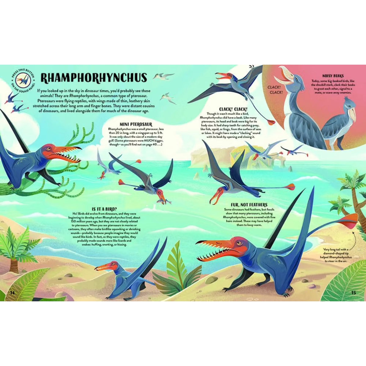SOUND EXPLORERS BOOK: DINOSAURS (5-10 YEARS)