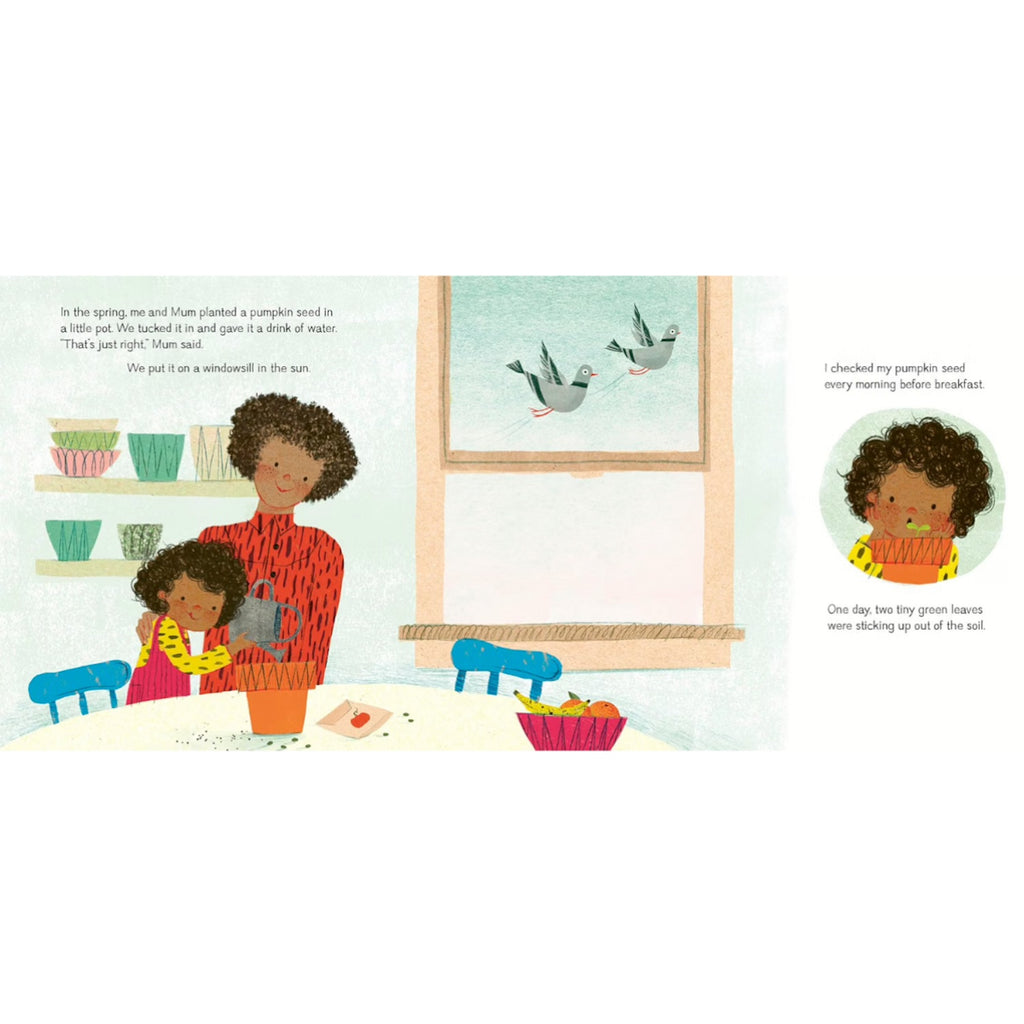 THE PUMPKIN SEED - PAPERBACK BOOK (2-5 YEARS)